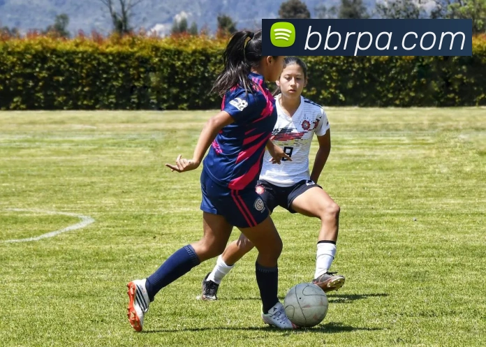 pa真人视讯品牌故事